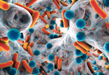 ¡Dale clic! y conoce las 12 bacterias más peligrosas y presentes en Latinoamérica, según la Organización Mundial de la Salud