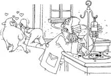 ¿A qué esta vez no lo sabes?